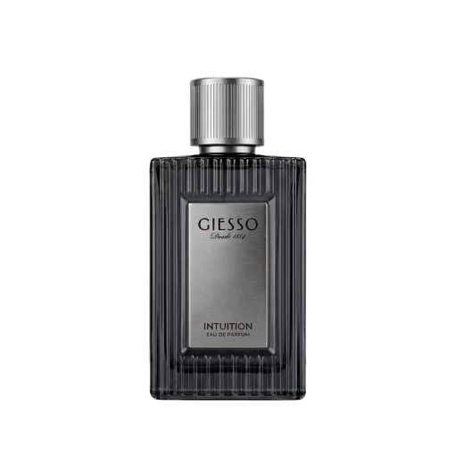 Frasco de Giesso INTUITION